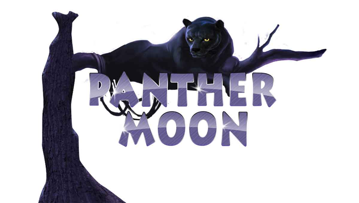 Menjelajah Hutan Gelap Bersama Panther Moon