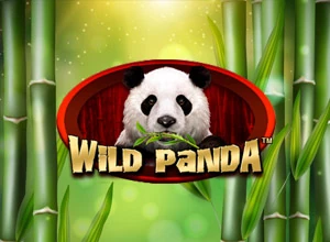 Wild Panda Spadegaming, Sensasi Seru yang Asyik!